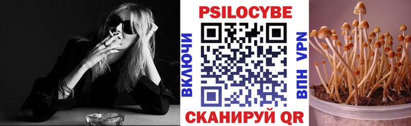 блэк спрут ссылка  Бобров  Псилоцибиновые грибы Psilocybine cubensis 